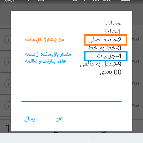 انتخاب گزینه  مانده اصلی یا جزییات