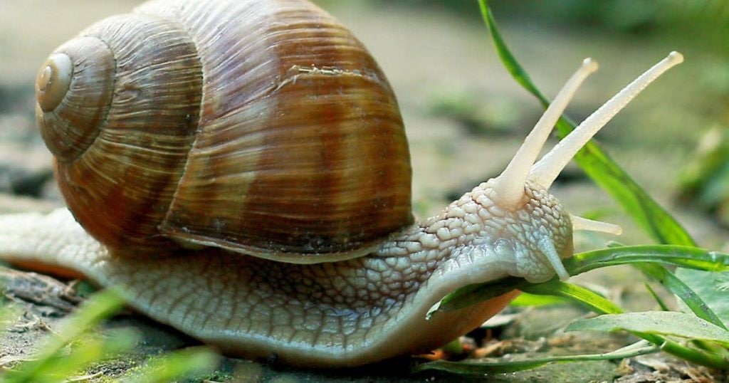 بهترین دانستنی ها و عجایب جالب از سراسر جهان