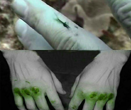 خون سبز بهترین دانستنی ها و عجایب جالب از سراسر جهان