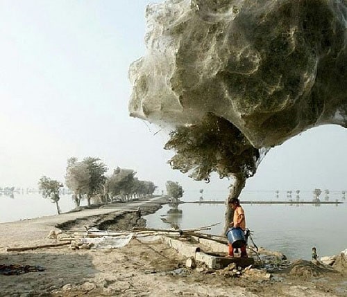بهترین دانستنی ها و عجایب جالب از سراسر جهان