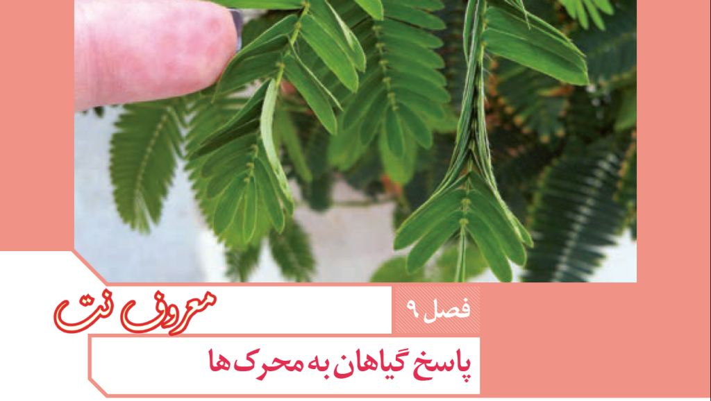 نمونه سوال زیست یازدهم تجربی فصل 9 همراه پاسخ