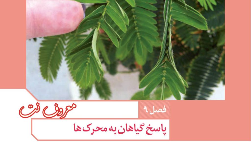 نمونه سوال زیست یازدهم فصل 9