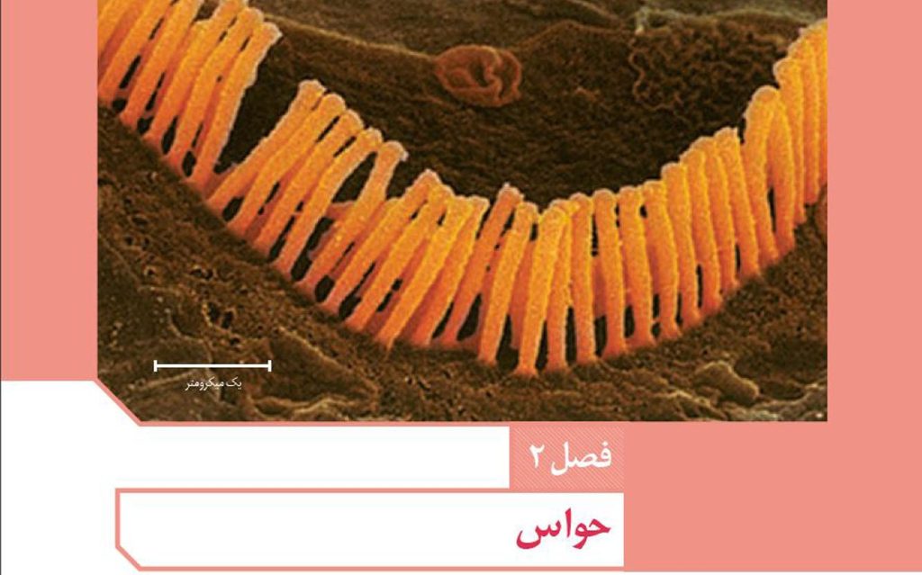 نمونه-سوال-زیست-پایه-یازدهم-فصل-دوم-همراه-با-پاسخ