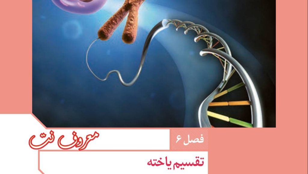 نمونه سوال زیست یازدهم فصل 6