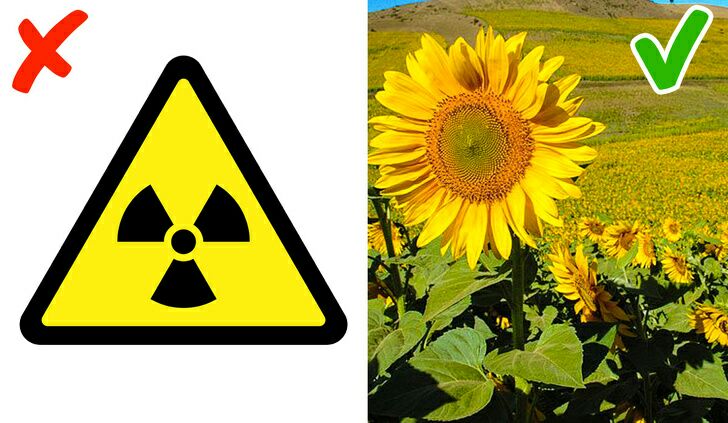 بهترین دانستنی ها و عجایب جالب از سراسر جهان